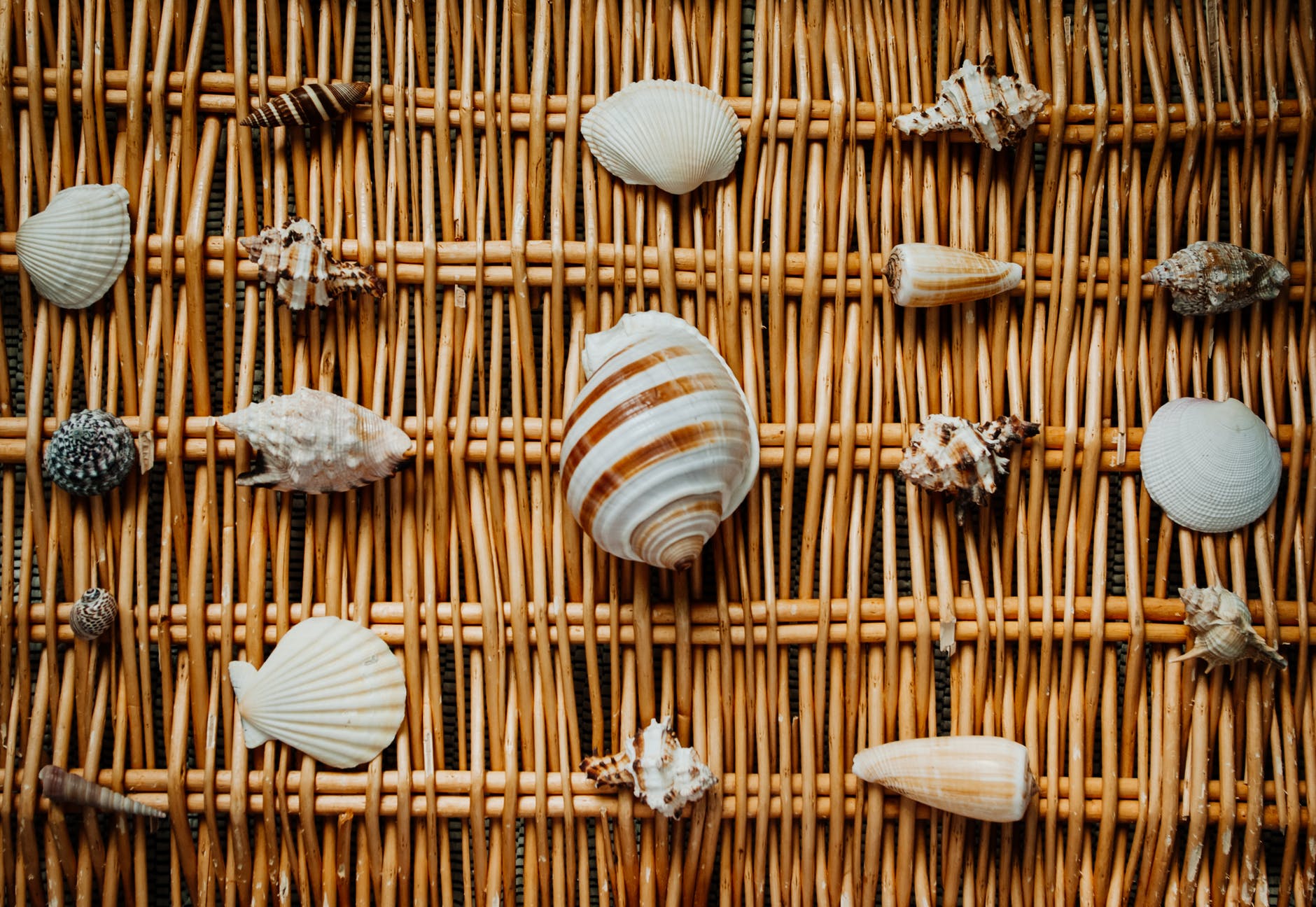 5 simple sea-related decor ideas to give your apartment a mermaid look