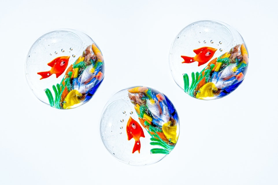 Imagination running wild? Consider creating an artificial aquarium for decorative purposes!