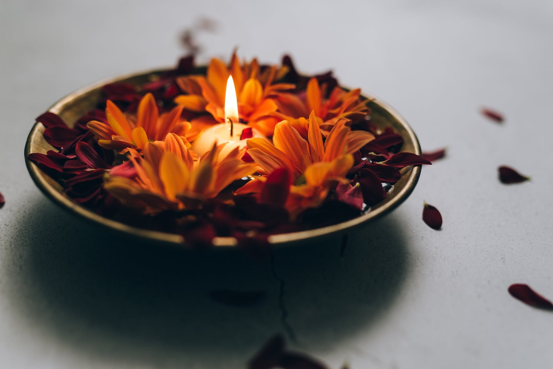 5 Young Mermen From The “Stories From The Undersea World Of Mermaid Princess Amelia, Vol 1” Who Were Touched By Suffering